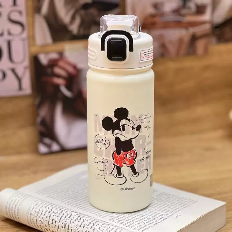 Stainless Steel Bottles